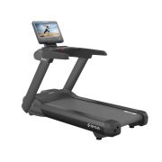 Профессиональная беговая дорожка SHUA SH-T8919T (15,6