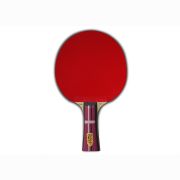 Теннисная ракетка Gambler fire dragon volt M